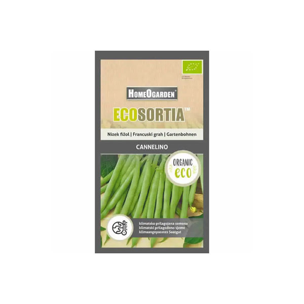 Bio-Saatgut Gartenbohne Cannelino
