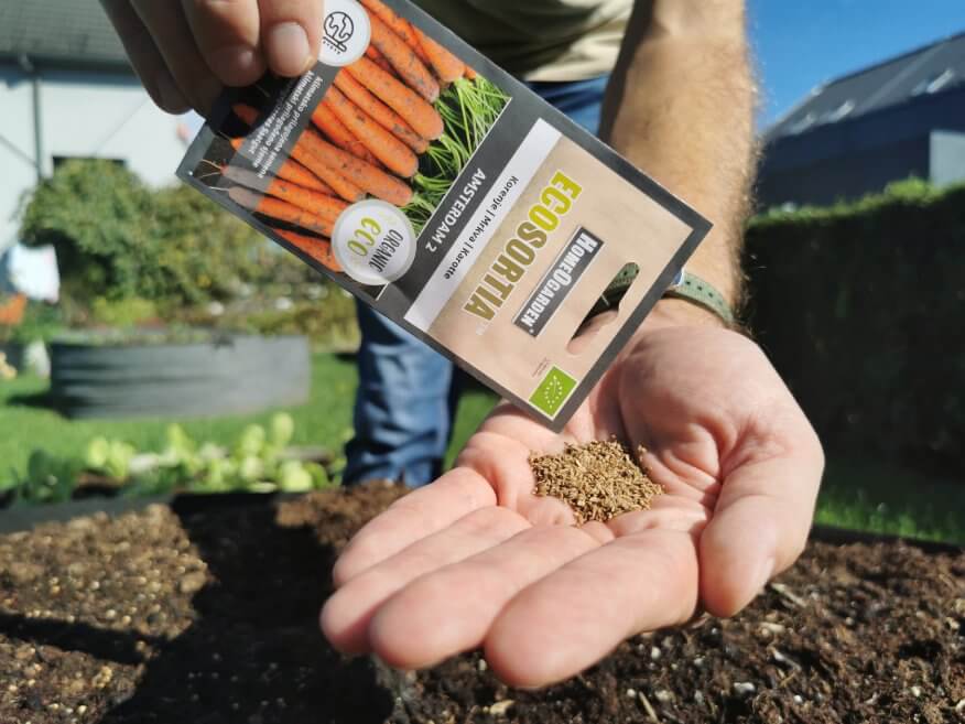 Karotte Amsterdam 2 Saatgut