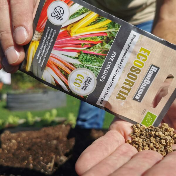 Mangold Five colours Bio-Saatgut