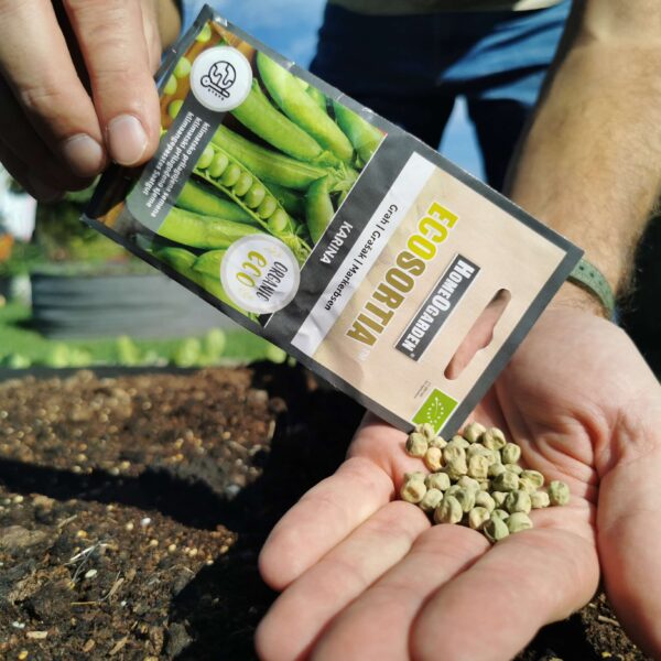 Zuckererbse Karina Bio-Samen