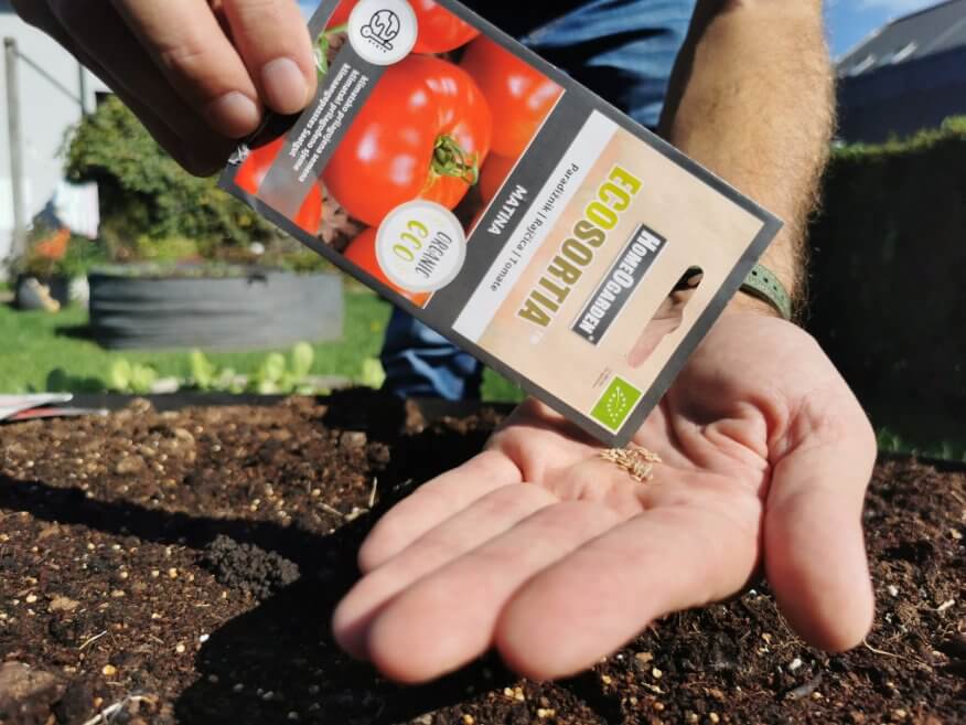 Tomate Matina Saatgut