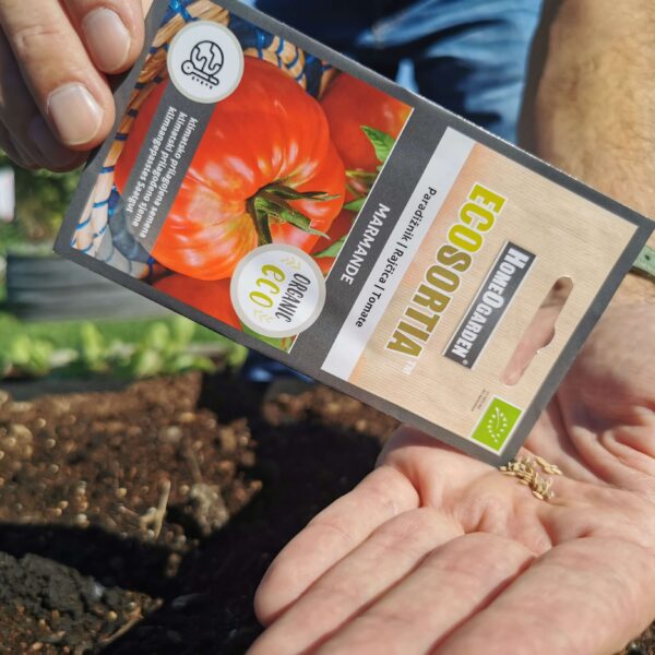 Tomaten Saatgut Marmande