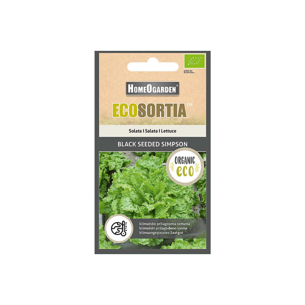 Bio-Saatgut Black Seeded Simpson Salat
