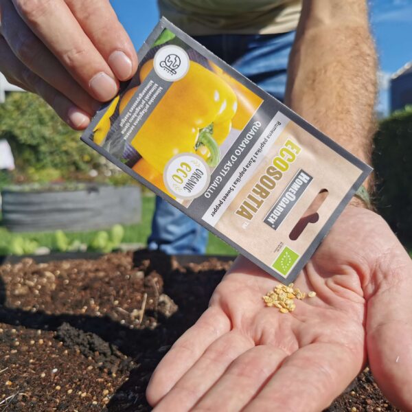 Paprika Quadrato D'Asti Giallo Bio-Samen