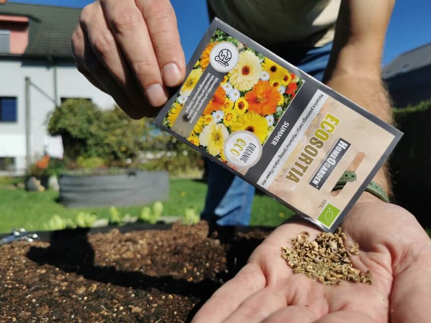 Sommerblumen-Mischung Saatgut