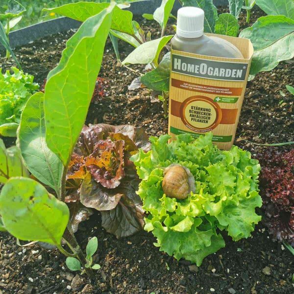 Schnecken Schutz